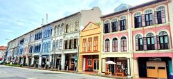 Tanjong Pagar Conservation Area (D2), Shop House #559659711